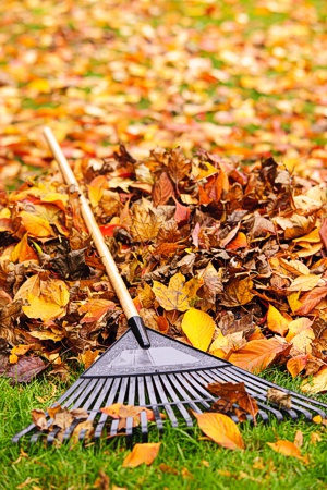 Leaf and Yard Waste